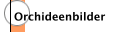 Orchideenbilder
